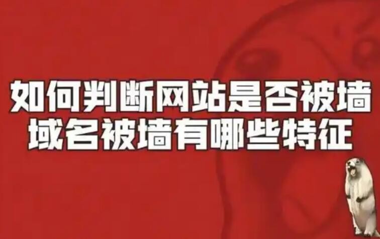 QQ截图20251231101420.jpg